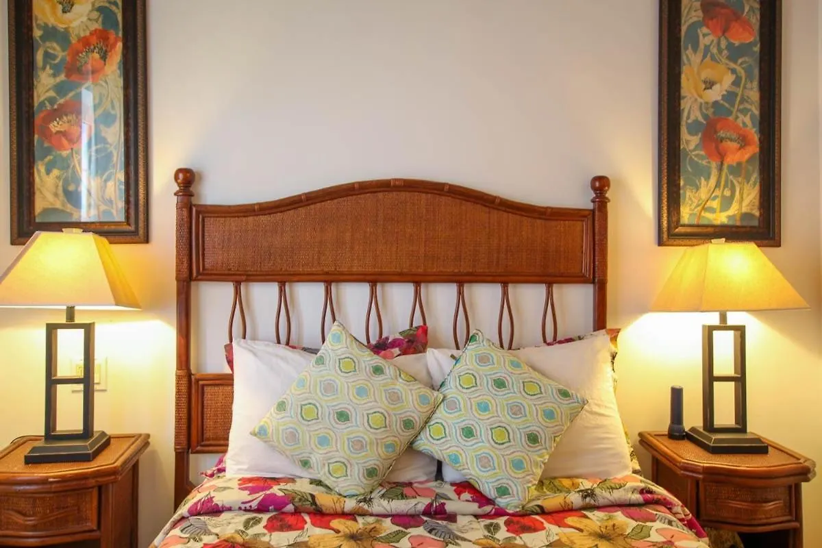 Terraces 201 By Bsl Rentals Christ Church Apartment